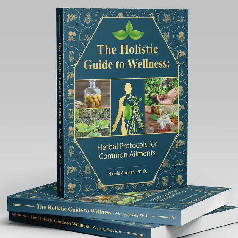The Holistic Guide to Wellness: Herbal Protocols for Common Ailments