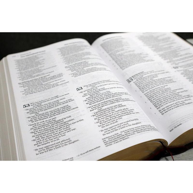 Contemporary Comparative Parallel Bible — NIV, NKJV, NLT & The Message
