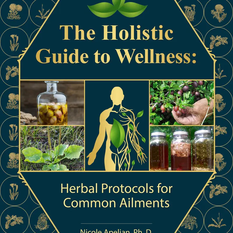 The Holistic Guide to Wellness: Herbal Protocols for Common Ailments